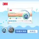 【3M】新一代防蹣水洗枕-加高型