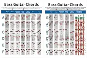 VICASKY Bass Exercise Diagram Electric Bass Chord Chart 72 Chords Western Keys Large Format Beginner's Tool