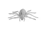 Mirabella Skeleton Spider Glow In The Dark each