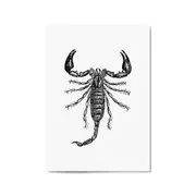 Scorpion Drawing Insect Man Cave Wall Art