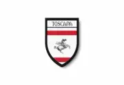 PATCH PATCHES EMBLEM IRON ON GLUE PRINT FLAG world crest italy tuscany
