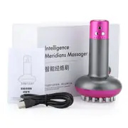 Electronic Meridian Brush Electric Scrapping Massager Tool Anti Cellulite Magnet Guasha Scraping Fat Burner Slimming