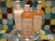 Crabtree & Evelyn Ginger Spice Shower Gel Hand Wash Body Lotion 500mL 16.9Oz NEW
