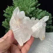 Dazzling Himalayan Quartz 260g Rough Mineral Cluster Row stone from INDIA