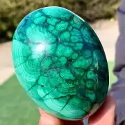 462G Natural glossy Malachite egg transparent cluster crystal mineral sample