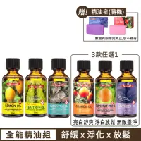 在飛比找momo購物網優惠-【Ausgarden 澳維花園】全能天王精油50mlX4件組