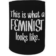 Alcohol Stubby Holder - This Feminist Looks Like - Funny Novelty Birthday Gift Joke Beer Can Bottle