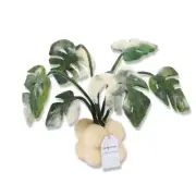 Monstera Potted Plant Wool Felted Set with Needle Instruction and Wool Roving