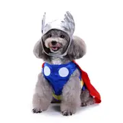 Halloween Pet Thunder God Costume