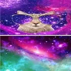 NWT 2 Packs Microfiber Vibrant Cat & Galaxy Scene Beach Towels