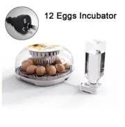 12 Smart Incubators With Automatic Constant Temperature & Water Au plug