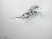 Wagtail, Birds, Watercolor artwork, Handmade, Original painting on paper