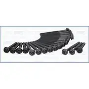 Austral Cylinder Head Bolt Set - 81006500