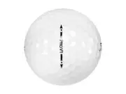 48 Recycled Titleist ProV1 Mix with Orlimar Dual Brush with Wire Teeth