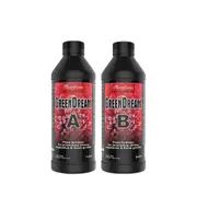 FlairForm GreenDream A + B - [Size: 2 x 5L]