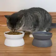 Elevated Cat Bowls For Natural Easier Feeding (2 Bowls)