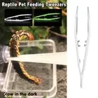 Glow-in-the-Dark Reptile Feeding Tweezers Non-Rust Pet Food Tool for Handling AU