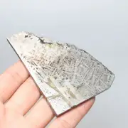 71g Muonionalusta meteorite part slice C8000