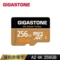 在飛比找PChome24h購物優惠-Gigastone 立達 資料救援 256GB microS