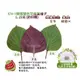 【蔬菜之家】A74-1.韓國雙色芝麻葉種子0.25克(約60顆) 種子 園藝 園藝用品 園藝資材 園藝盆栽 園藝裝飾