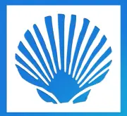 Clam or Scallop Sea Shell Reusable Stencil (Many Sizes)