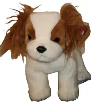 Ty Beanie Buddy REGAL King Charles Spaniel Dog 9.5" NEW MWMTs Plush Stuffed Toy