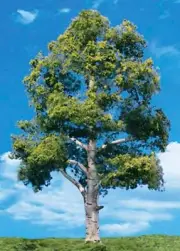 Woodland Scenics TR3536 N/HO Waters Edge Tree 5" - 6" Train Scenery