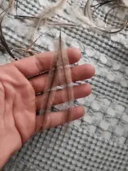 25 Naturally Shed Double Plumed Emu Feathers