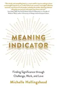 在飛比找博客來優惠-Meaning Indicator: Finding Sig