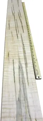 Maple Spalted Wormy Figured wood veneer 6" x 126" raw 1/42" no backing A grade