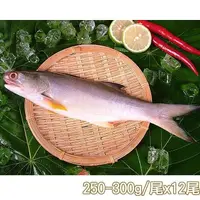 在飛比找PChome24h購物優惠-【新鮮市集】人氣原味午仔魚12尾(250-300g/尾)