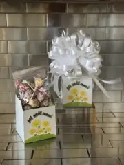 Get Well Soon Gift Box-Basket & 1/2 LB Dum Dum Lollipops Candy Wrap & White Bow
