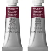 2x Winsor & Newton 14ml Professional Watercolour Paint Caput Mortuum Violet S2