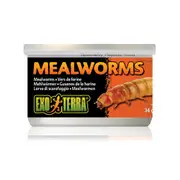 Exo Terra Canned Mealworms 34g Reptile Lizard Food (PT1958)