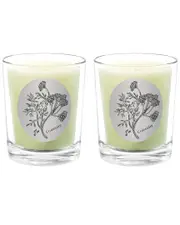 Qualitas Candles Coriander Two Scented Beeswax Candle Set
