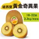 【水果狼FRUITMAN】紐西蘭Zespri 黃金奇異果 18-22顆 / 原裝箱