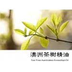 【LS】澳洲茶樹精油 (TEA TREE)