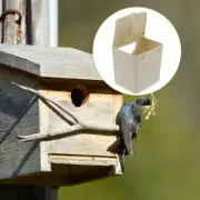 Bird Breeding Box Nest Parakeet Boxes House for Cage Parrot Nesting