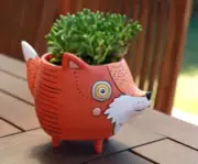 Foxy Planter
