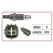 RAE Oxygen Sensor - OX478