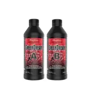 FlairForm GreenDream A+B - 1L / 5L / 20L | 2-Part Nutrient