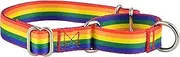 Martingale Collar for Dogs, No Slip Puppy Training for Boy or Girl, Small or Large Dogs, Cute Flower, Pink, American Flag Patterns (Small, Rainbow Flag)