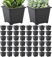 Seedling Starting Pots - 50x Square Seedling Starter | Germination Trays, Gardening Accessories for Indoor and Outdoor