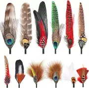 12Pcs Hat Feathers, Assorted Natural Feathers for Hats Colorful Real Feathers