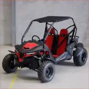 Helmetkarts - ZXK5 Off Road Dune Buggy Family 2 Seater Utility Go kart RED FORZA