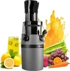 Masticating Juicer Machine for Whole Fruits and Vegetables Cold Press Slow Juice