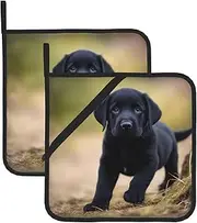 Black Labrador Puppy Potholders BBQ Pot Holders for Heat Resistant Potholder, Hot Pads,Cooking Baking(2-Pack)