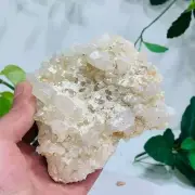 477g Natural Clear Crystal Mineral Specimen Clear Quartz Cluster Decoration