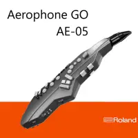 在飛比找Yahoo奇摩購物中心優惠-Roland AE-05 Aerophone GO/電子薩克