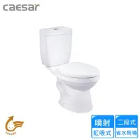 在飛比找momo購物網優惠-【CAESAR 凱撒衛浴】二段式省水馬桶/管距30(CF13